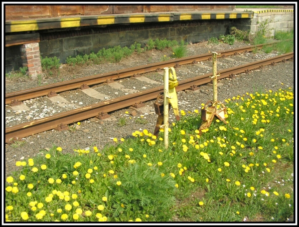 Teplice nad Metují