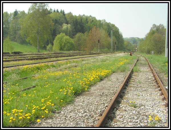 Teplice nad Metují