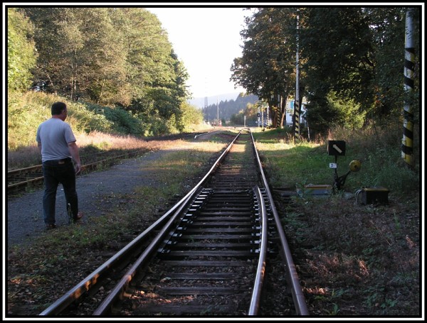 Návštěvy a výstavy